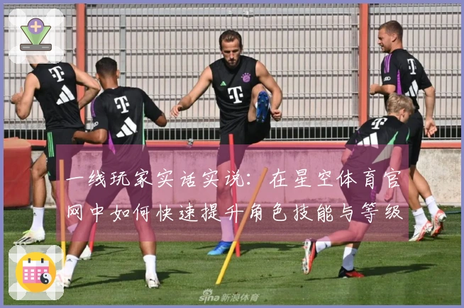 一线玩家实话实说：在星空体育官网中如何快速提升角色技能与等级攻略