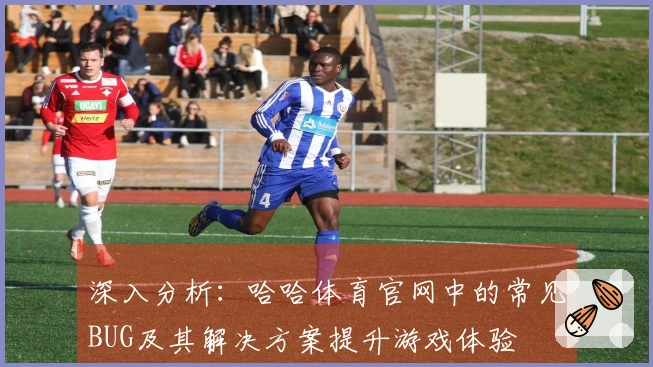深入分析：哈哈体育官网中的常见BUG及其解决方案提升游戏体验