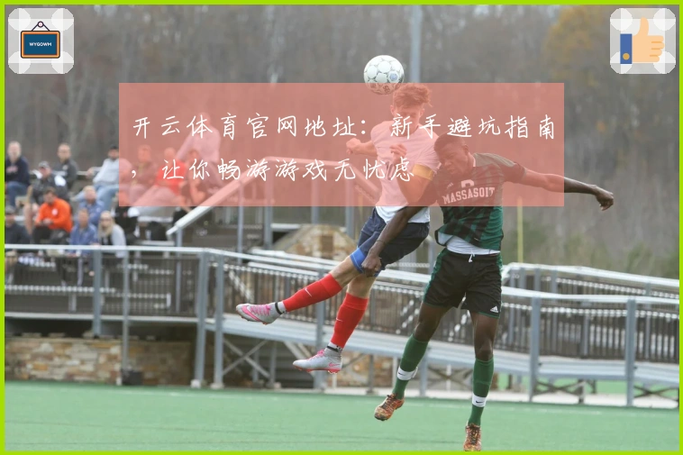 开云体育官网地址：新手避坑指南，让你畅游游戏无忧虑